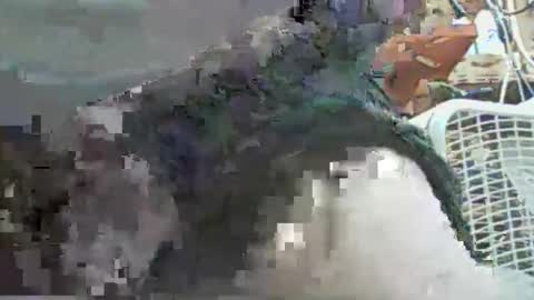 papajb70 online show from 29, 9, 2025