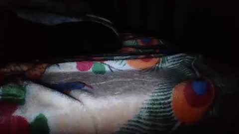 papi mexicano en boxers online show from 20, 11, 2025