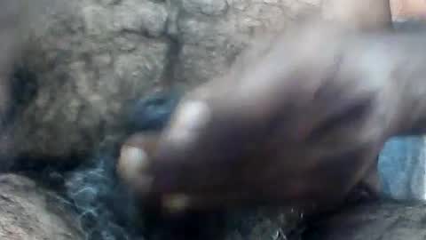 pappi_rambo online show from 7, 8, 2026