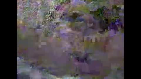 Snapshot of pascalo06 chatting on 3, 2, 2026 anytimeuwant online show from 3, 2, 2026