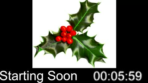 Snapshot of passion4fashion chatting on 25, 12, 2024 Passion4Fashion online show from 25, 12, 2024