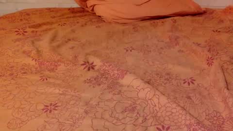 Pati24 online show from 15, 1, 2025