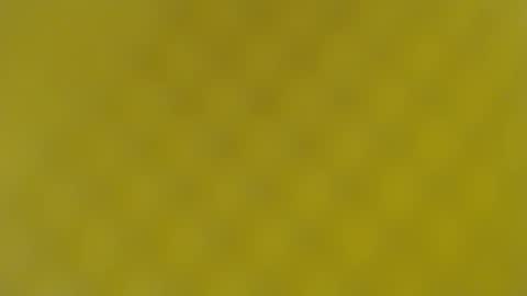 patty squirt87 online show from 19, 2, 2025