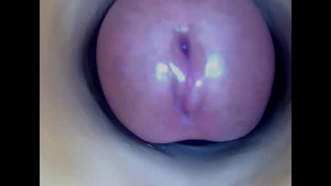 Paula 18 Aninhos online show from 12, 2, 2025