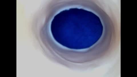 Paula 18 Aninhos online show from 22, 2, 2025