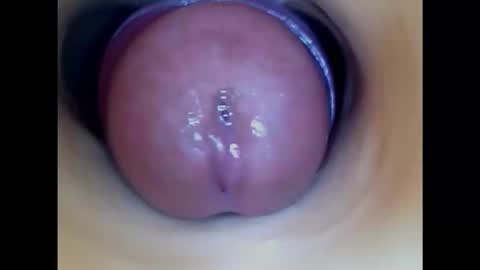 Paula 18 Aninhos online show from 18, 11, 2025