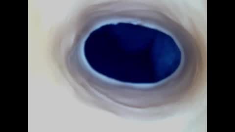 Paula 18 Aninhos online show from 23, 12, 2025