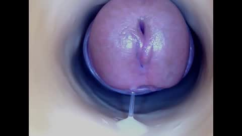 Paula 18 Aninhos online show from 7, 1, 2026