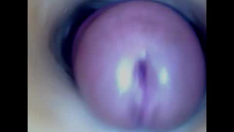 Paula 18 Aninhos online show from 14, 2, 2026