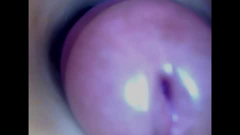 Paula 18 Aninhos online show from 27, 2, 2026