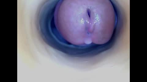 Paula 18 Aninhos online show from 9, 4, 2026