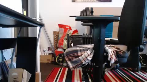 Snapshot of paulie120464 chatting on 3, 3, 2025 paulie120464 online show from 3, 3, 2025