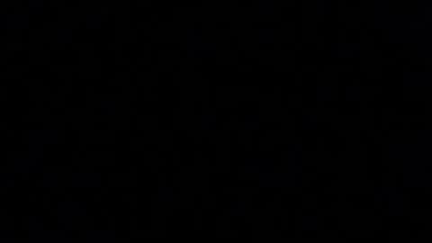 Paul online show from 20, 4, 2026