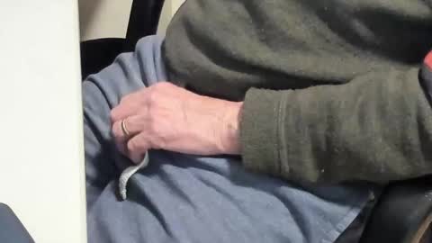 Snapshot of paultje7171 chatting on 10, 2, 2025 Paul online show from 10, 2, 2025