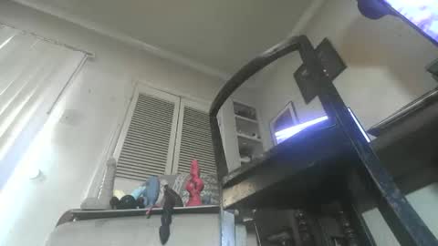 Paulvert online show from 27, 11, 2025