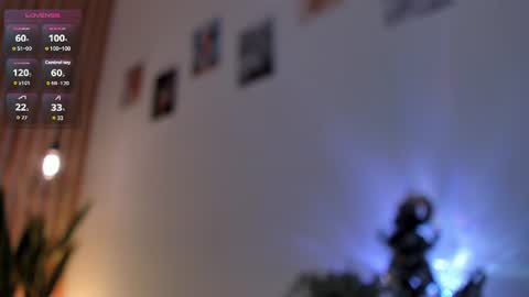 Dani online show from 6, 7, 2026