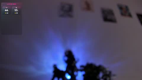 Dani online show from 7, 7, 2026