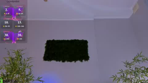Snapshot of pearl_bloom chatting on 3, 7, 2026 Sex Leah online show from 3, 7, 2026