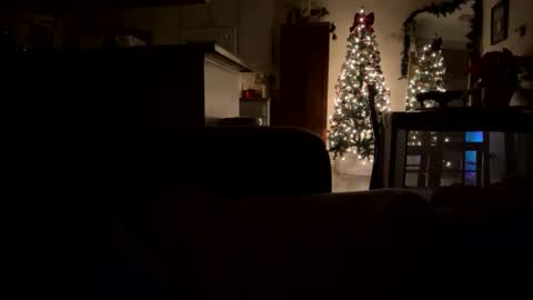 penessy47 online show from 19, 12, 2025