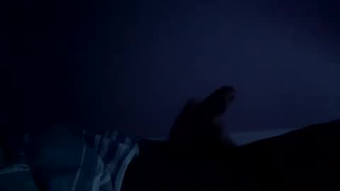 perfect427482577143 online show from 26, 2, 2026