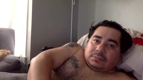 perro2010joshua online show from 11, 1, 2025