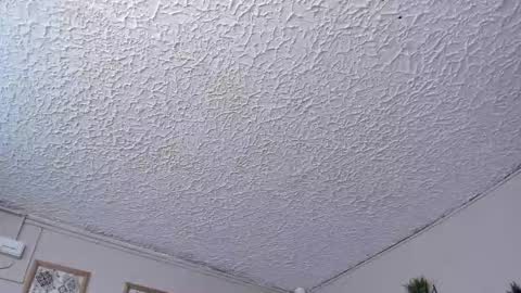 Ludoziel 19 online show from 1, 12, 2025