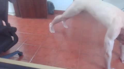 peter_coat online show from 1, 7, 2026