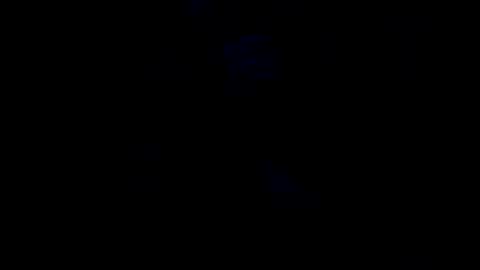 peterson1978 online show from 25, 11, 2025