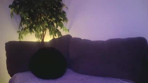 Snapshot of petite_treat_ chatting on 19, 12, 2024 petite treat online show from 19, 12, 2024