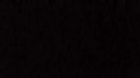 petitedolly254 online show from 12, 3, 2026