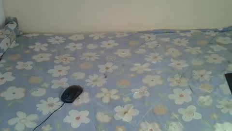 Sugar online show from 16, 2, 2026