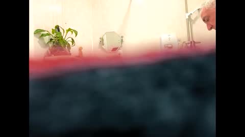 Snapshot of petrol63102 chatting on 19, 2, 2026 petrol63102 online show from 19, 2, 2026