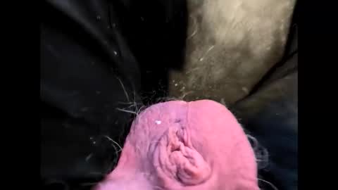 Snapshot of petrol63102 chatting on 20, 2, 2026 petrol63102 online show from 20, 2, 2026