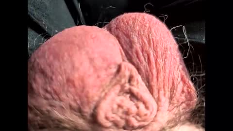 Snapshot of petrol63102 chatting on 22, 2, 2026 petrol63102 online show from 22, 2, 2026