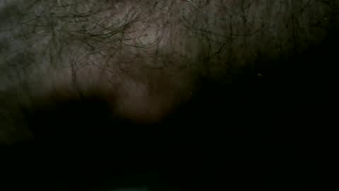 pgls online show from 28, 1, 2025