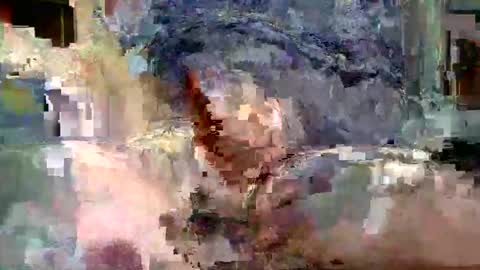 phill268 online show from 28, 12, 2024