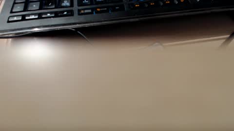 pier49x online show from 3, 12, 2024