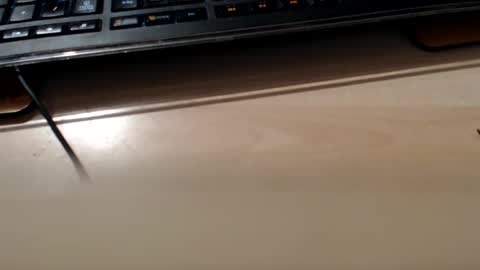 pier49x online show from 10, 2, 2025