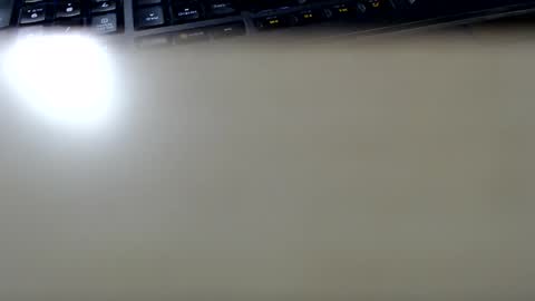 pier49x online show from 11, 2, 2025