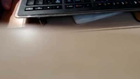 pier49x online show from 18, 4, 2026