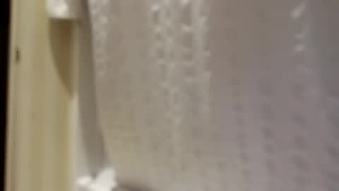 Snapshot of pigbear4trans chatting on 30, 9, 2025 pigbear4trans online show from 30, 9, 2025