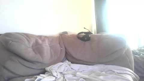 Piggyfun1979 online show from 1, 3, 2026