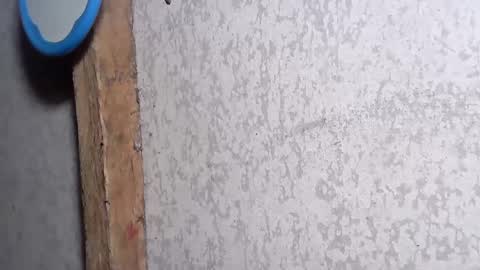 pinay_yummy28 online show from 2, 12, 2024