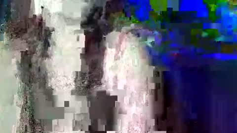 Snapshot of pinayhot_carol chatting on 9, 6, 2026 Carol online show from 9, 6, 2026