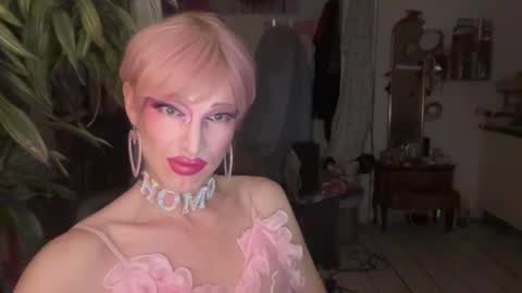 pinkfag online show from 19, 2, 2026