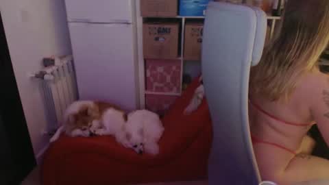 Snapshot of pinkladyx2 chatting on 21, 2, 2025 pinkladyx2 online show from 21, 2, 2025