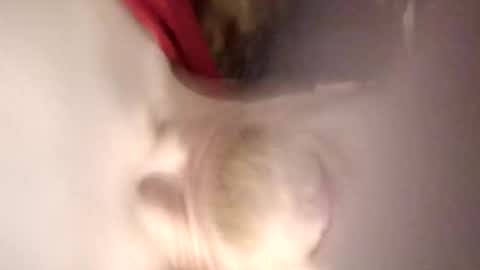 pinkytinky4 online show from 17, 12, 2025