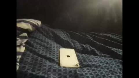 Snapshot of pityboycock chatting on 9, 9, 2025 whom like be watching.i online show from 9, 9, 2025