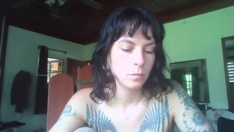 pixiecatfairy online show from 11, 11, 2025