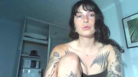 pixiecatfairy online show from 4, 12, 2025